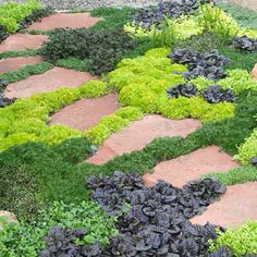 an assortment of plants and rocks in a garden area with red brick pavers walkways