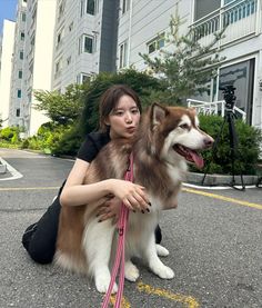 a woman kneeling down next to a brown and white dog with a leash on it's neck