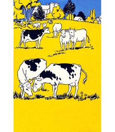 several cows grazing in the grass on a sunny day with blue sky and trees behind them