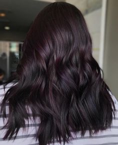 Dark Hair Violet Highlights, Eggplant Hair Color With Highlights Dark Purple, Purple Toned Black Hair, Dark Brown Hair With Hints Of Purple, Eggplant Black Hair, Dark Hair Violet Undertone, Midnight Violet Black Hair Color, Dark Brown With Plum Highlights, Black Hair With Violet Undertone