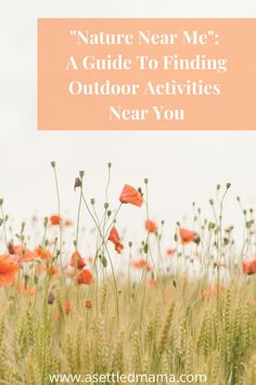 a field with red poppies and the words nature near me a guide to finding outdoor activities near you