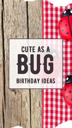 two ladybugs sitting on top of a red and white checkered table cloth