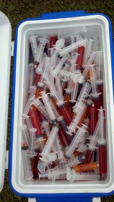 there are many plastic containers filled with different types of toothbrushes and tubes in them