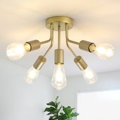 an image of a light fixture in the living room with plants on the table and potted plant next to it