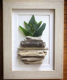 a white frame with some driftwood and a green plant in it's center