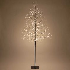 a lighted tree with white lights on it