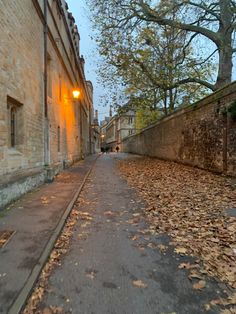 an alley way with leaves on the ground and trees in the background at night time