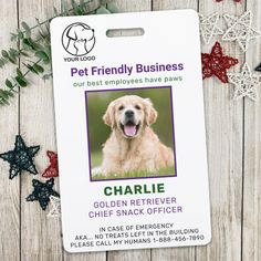 a pet friendly business card with an image of a golden retriever in the background