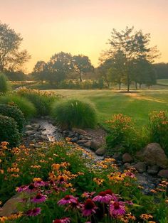 the sun is setting over a field with flowers and rocks in it, as well as a stream