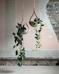 two hanging planters with plants in them on a wooden floor next to a brick wall