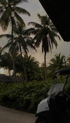 a golf cart parked in front of palm trees