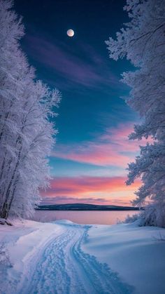 the sun is setting over a snowy landscape with trees in the foreground and a full moon