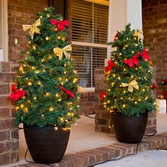 two potted christmas trees on the front porch with lights and bows, decorated in gold and red