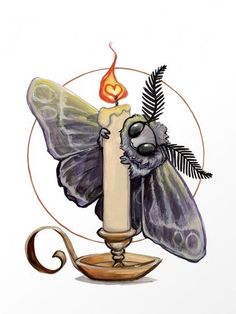 a drawing of a candle with a butterfly on it and the words, the art of trance