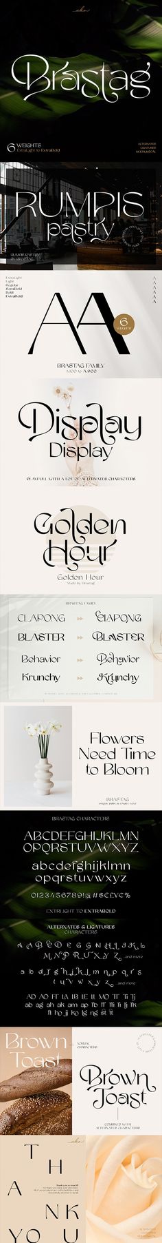 Brastag | Display Family Font, Fonts | GraphicRiver