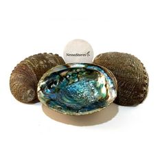 three clamshells sitting on top of each other in front of a white background