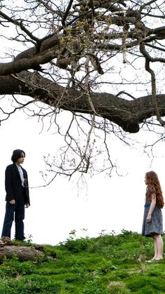 two people standing on top of a lush green hillside next to a tree with no leaves