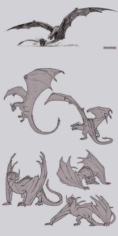 some drawings of different types of dragon like creatures, including one with wings and the other with