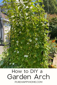 the garden arch has flowers growing on it and is surrounded by greenery with text overlay that reads how to diy a garden arch