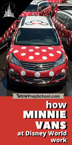 cars with minnie mouse decals on them are parked in a parking lot at disney world