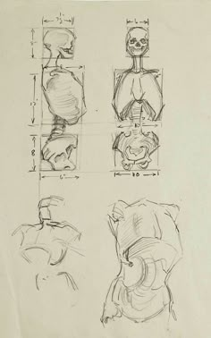 three drawings of different shapes and sizes of human head, torso, and arm in various positions