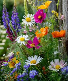 wildflowers and other flowers growing in a garden next to a wooden fence post