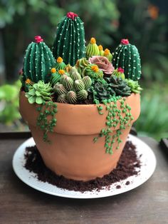 a potted plant with green and yellow flowers