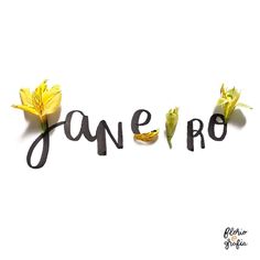 the word jane ro written in cursive black ink with yellow flowers on it