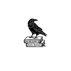 a black bird sitting on top of two books