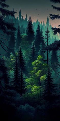 a painting of trees and birds flying in the night sky above them is a green forest with many tall pine trees