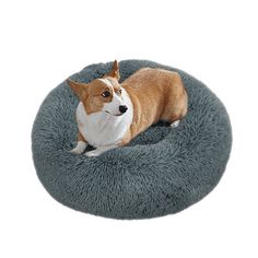 a dog laying on top of a blue pet bed with a white head and brown ears