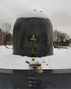 there is snow on the ground and some plants growing out of the top of it