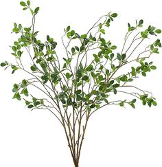 a small tree with green leaves in a pot on a white background, ready to be used as a centerpiece