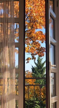 an open window looking out onto the trees outside in front of it with fall foliage