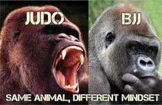 two gorillas with their mouths open and the words judo written in different languages