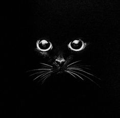 a black cat with glowing eyes in the dark