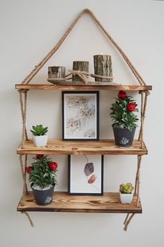 three wooden shelves with plants and pictures on them