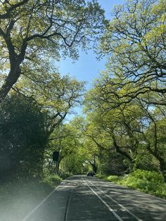 an empty road surrounded by trees and grass