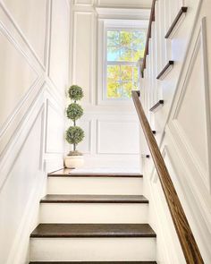 the stairs are lined with wood and white painted walls, along with a potted plant