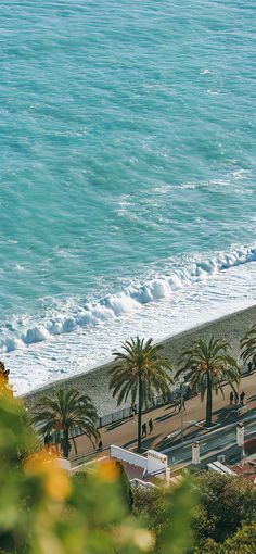 the beach is lined with palm trees next to the ocean