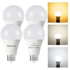 four different types of light bulbs are shown in various colors and sizes, including white