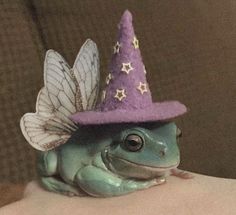 a green frog wearing a purple hat with stars on it's head and wings