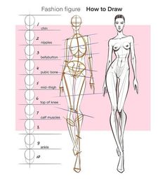 a fashion figure is shown in the diagram above it's description, and shows how to draw