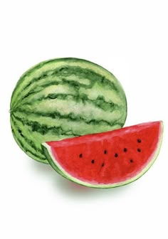 two slices of watermelon sitting next to each other