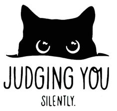 a black cat with the words judging you silently