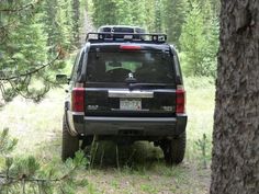 an suv is parked in the middle of a wooded area with pine trees and tall grass