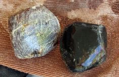 How to Polish Rocks by Hand | Rock & Gem Magazine Leland Blue Stone, Horn Coral, Lake Michigan Beaches, Wishing Stones, Michigan Beaches, Rock Tumbler