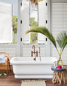 a white bath tub sitting next to a palm tree in a room with shuttered windows