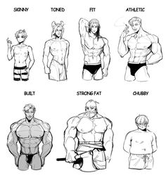 the different types of bodybuilding muscles and their functions in this drawing, you can see what they are doing