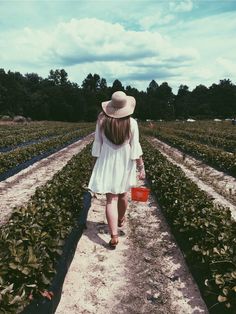 a woman in a white dress and hat walks through a field with rows of plants